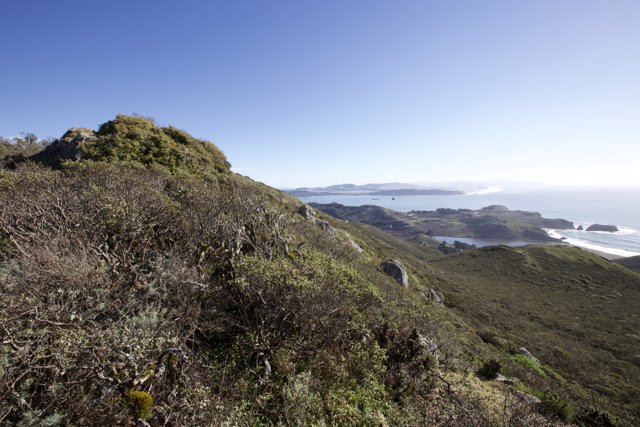 The Grandeur of Marin Headlands - 2024