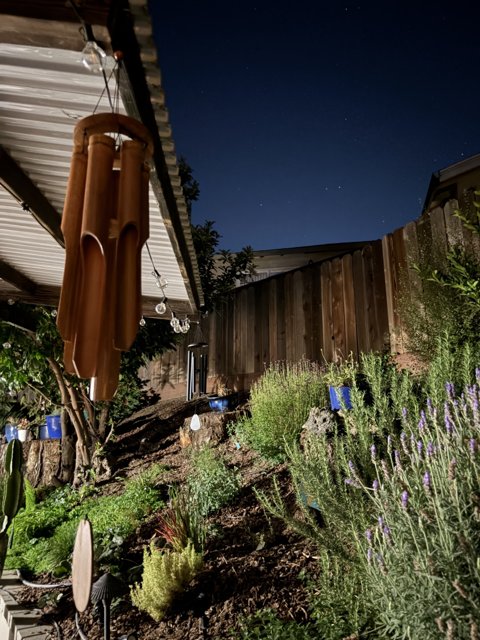 Moonlit Herbal Symphony
