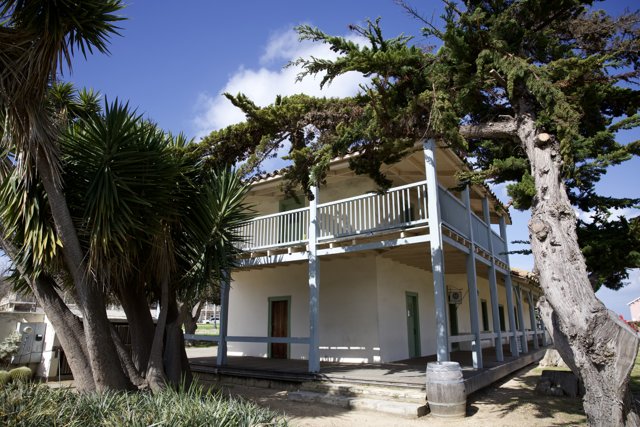 Monterey Dream House, 2024