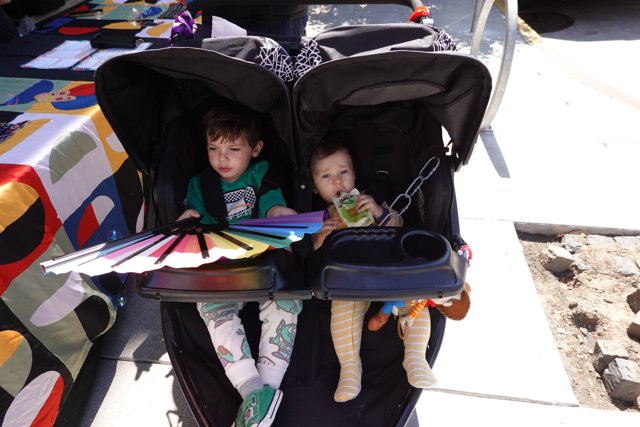 Double Delight in the Stroller