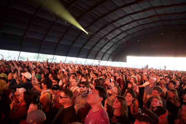 Electric Vibes: Coachella 2024, Weekend Two Crowds