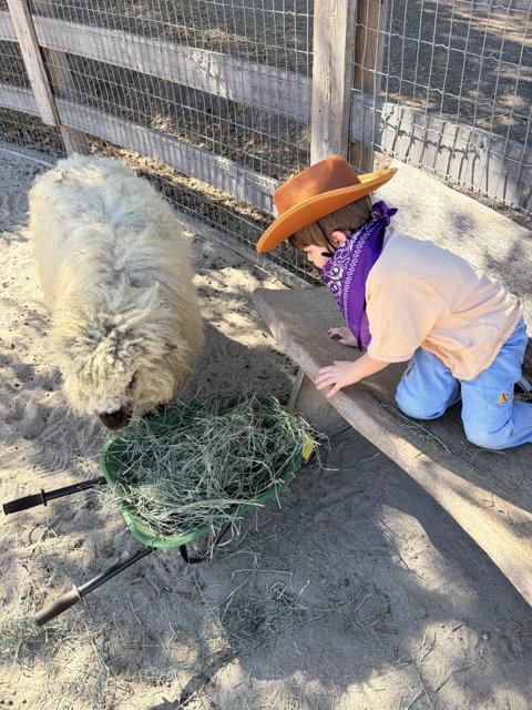 Rustic Encounters in Carmel Valley