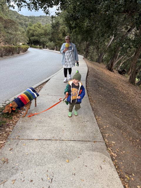 Strolling Through Carmel Valley