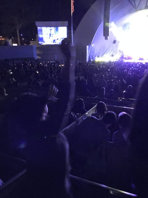 Electric Crowd at the 2017 Rock Concert