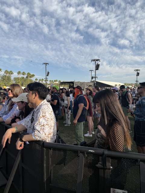 Festival Anticipation