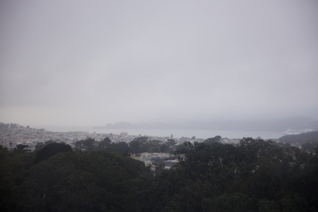 Gilded Haze: A Unique City View from Golden Gate Park