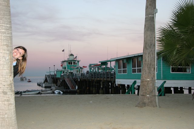 Previous