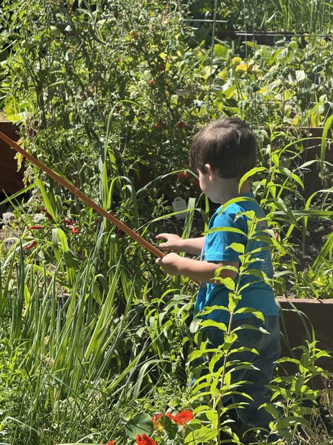 Young Gardener's Discovery