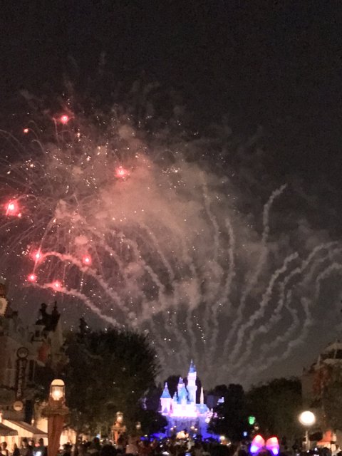 Night Sky Fireworks at Disneyland