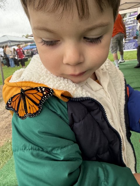 Butterfly Encounter in Plaza Park