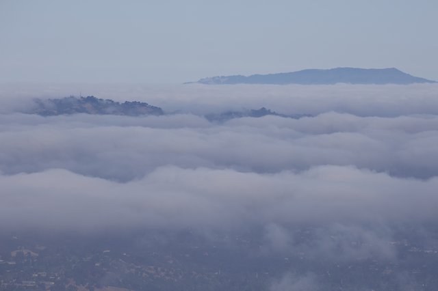 Hills Emerging Through Layered Marine Fog Banks