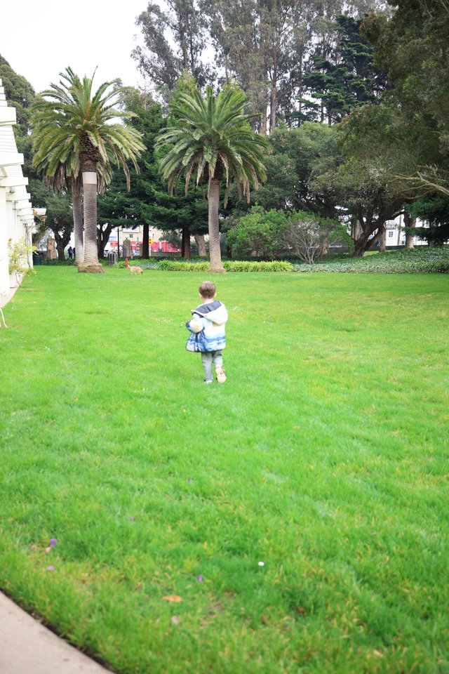 Child Explores Park Grounds on Overcast Day