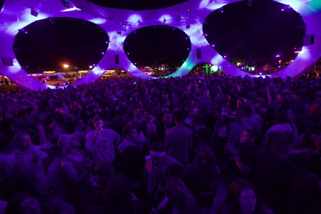 Neon Nightlife: A Festival Crowd in Purple Lights