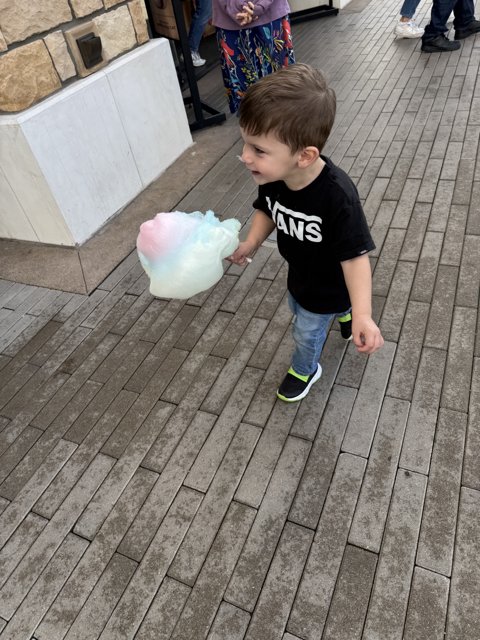 Cotton Candy Adventures