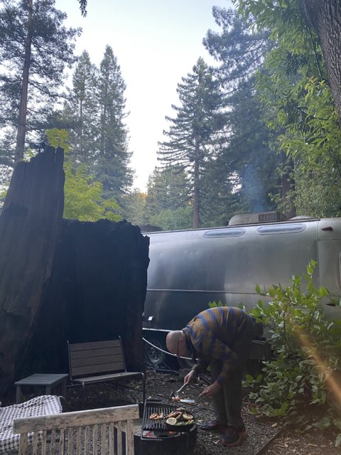 Grilling in the Forest