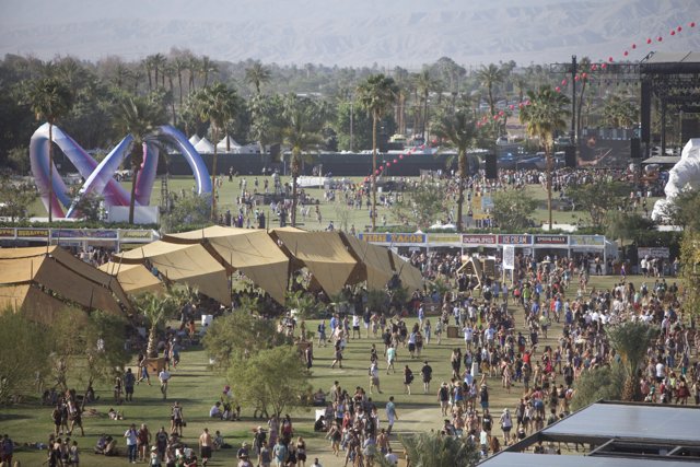 Desert Festival Draws Record Crowds