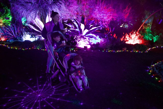 Enchanted Evenings in the Garden of D'Lights