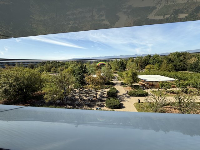 A Serene Morning at Apple Park