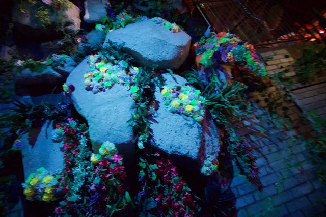 Vibrant Fluorescent Coral Reef Aquarium Display