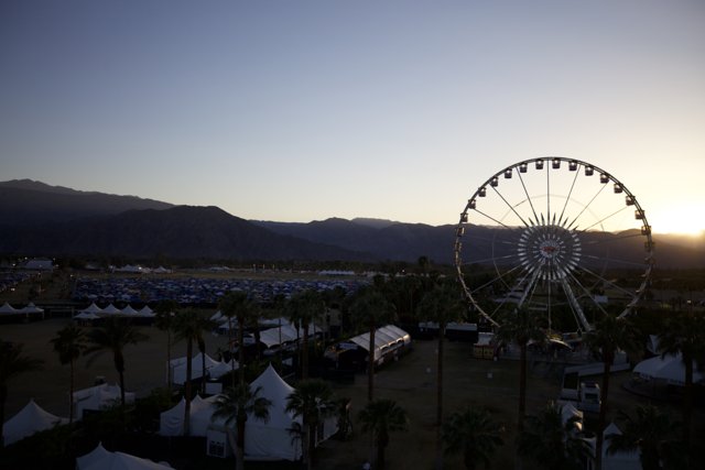Sunset Fun at Coachella