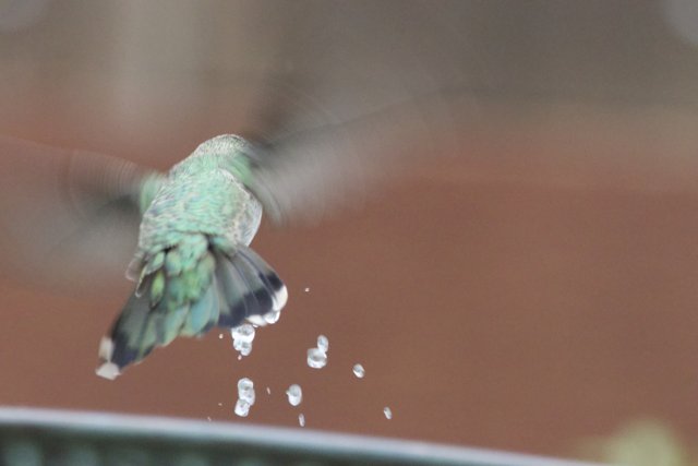 Captivating Motion