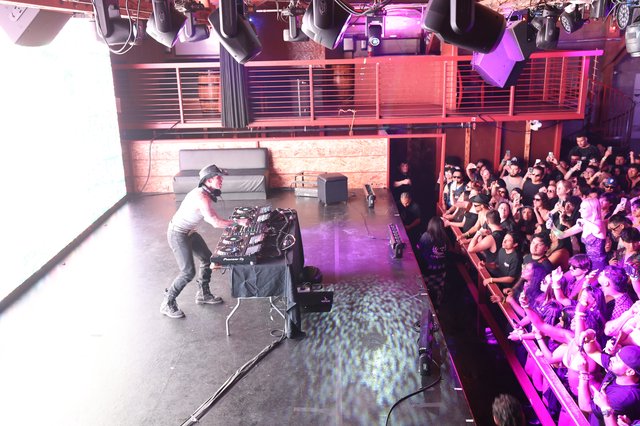 DJ Electrifies the Crowd at Wobbleland 2026