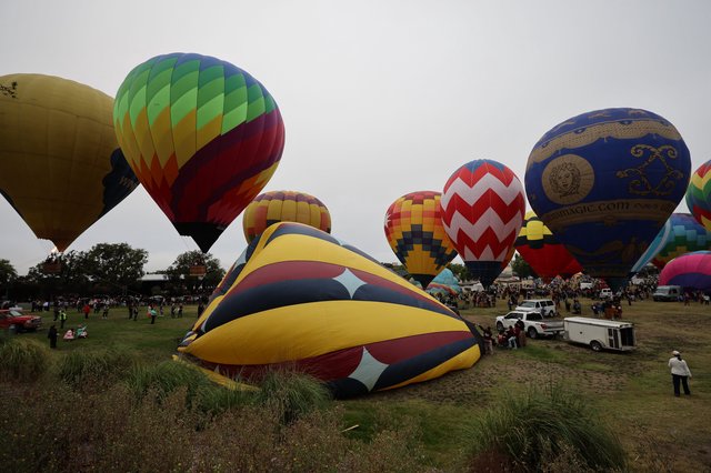 Colorful Hot Air Balloons Launch at Sonoma County Classic