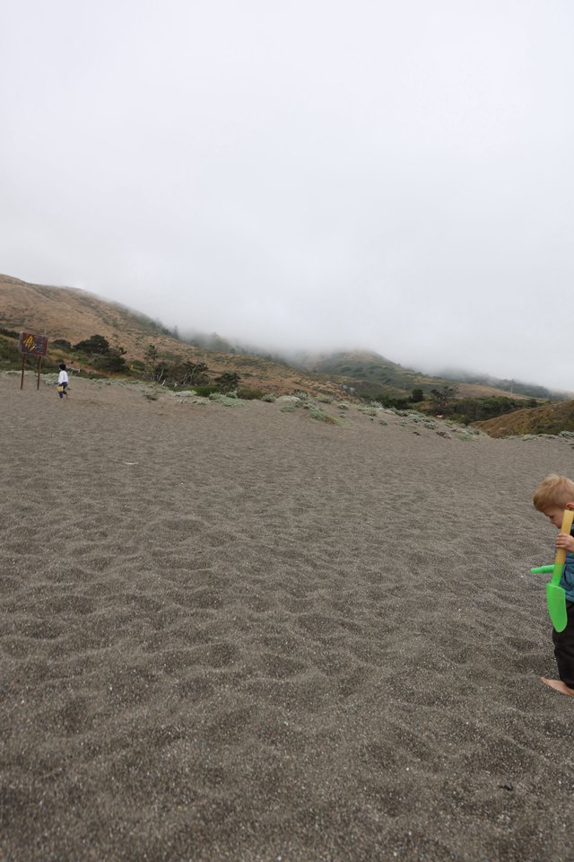 Children Playing on Foggy California Coastal Beach