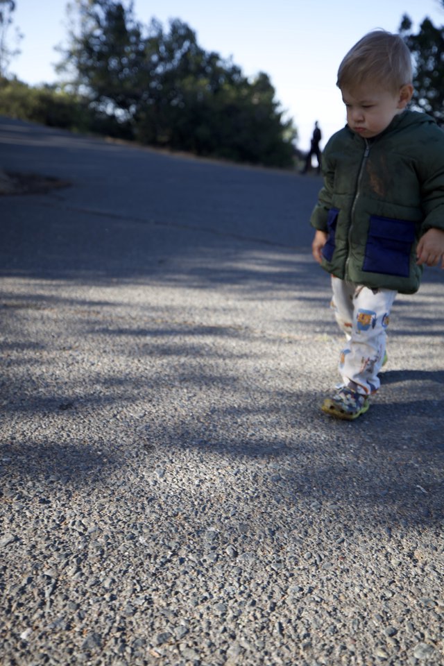 Toddler Explores Paved Path at Mount Diablo