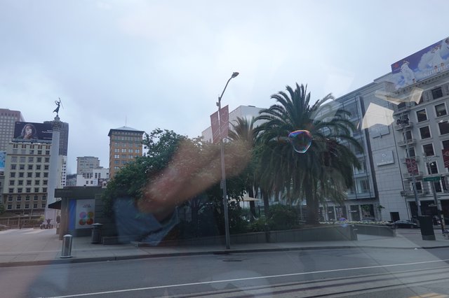 Urban Plaza with Palm Trees and Soap Bubble