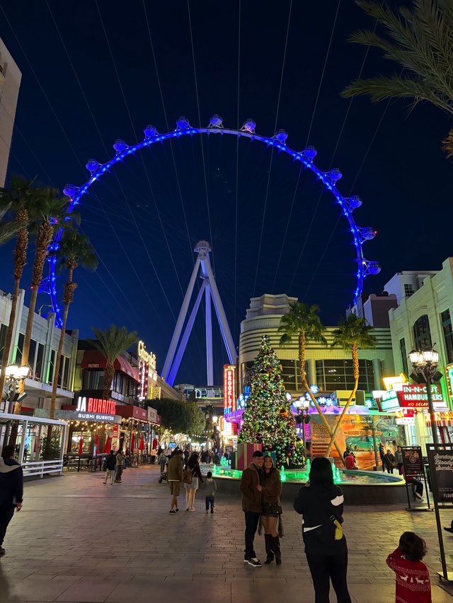 The High Roller Observation Wheel Illuminated at Night