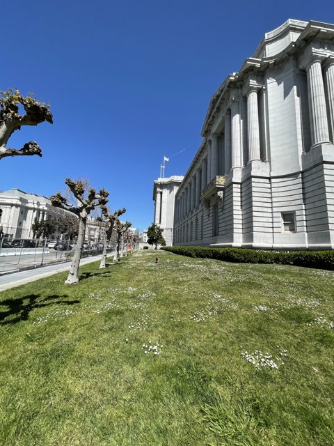 A Serene Afternoon at San Francisco City Hall