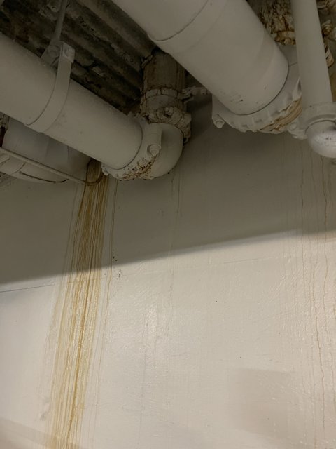 Water Damage Woes