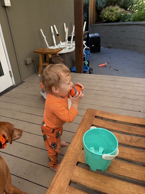 Playful Morning on the Porch