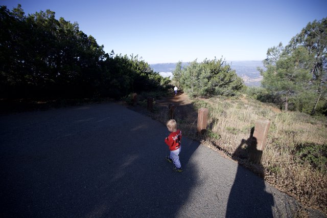 Toddler Explores Summit Trail at Mount Diablo