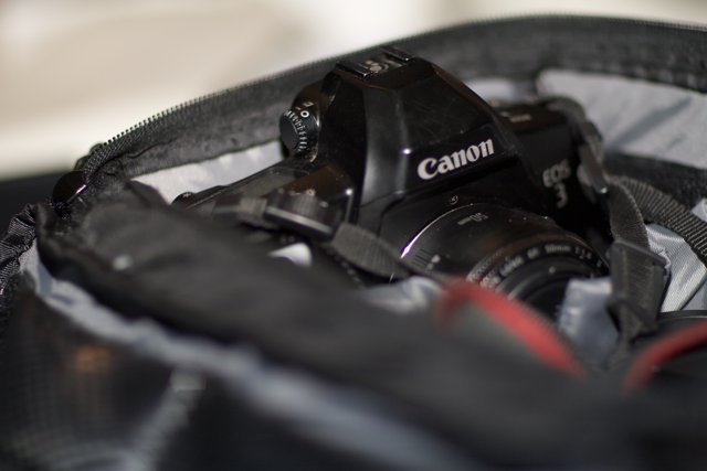 Camera Bag Essentials