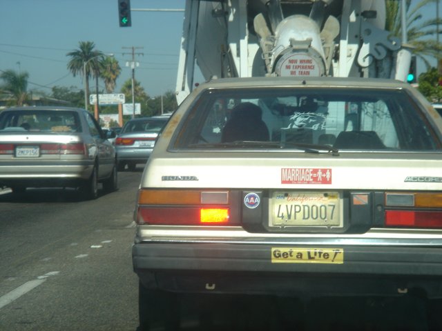 White Coupe with a Palm Tree Sticker
