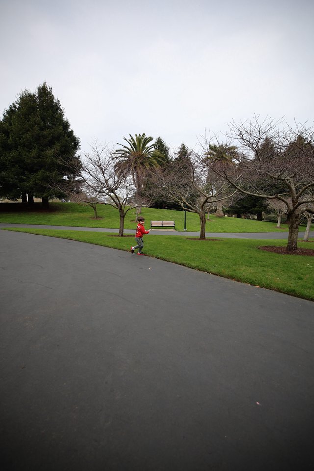 Child on Scooter in Park on Overcast Day