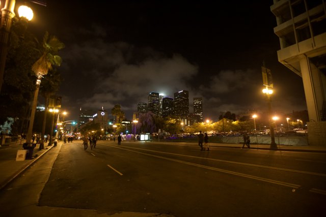 Nighttime Scene in the Urban Metropolis