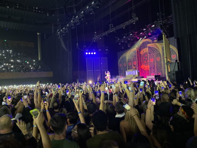 Crowd Goes Wild at the Urban Concert