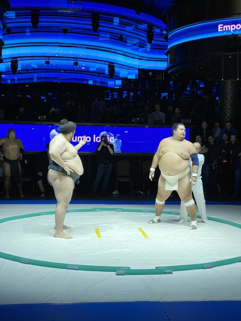 Sumo Champions Clash at World Tournament