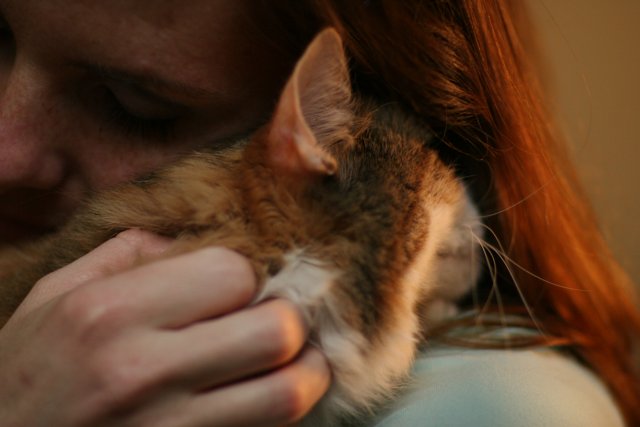 A Woman and Her Abyssinian Cat