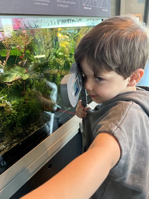 Little Explorer at the Aquarium