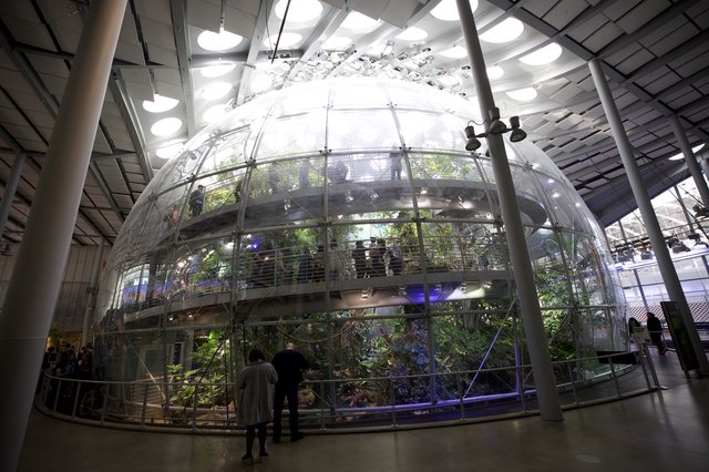 Modern Multi-Level Rainforest Sphere in Contemporary Architecture