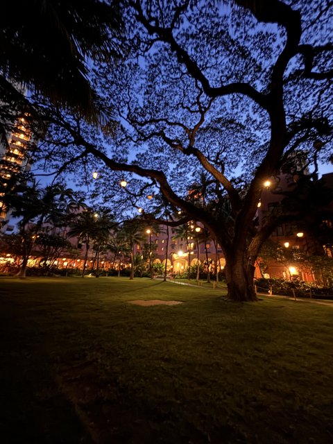 Enchanted Twilight at The Royal Hawaiian