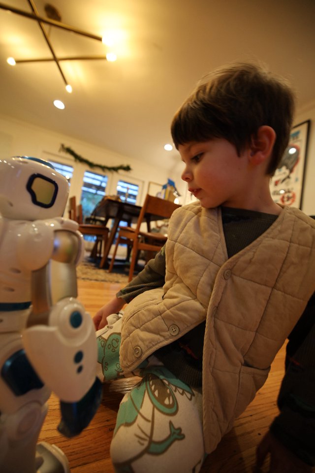 Child Interacting with Humanoid Robot at Home