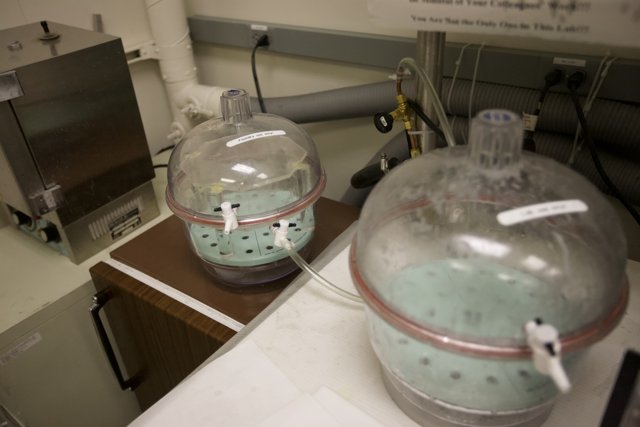 Water Containers in the Lab