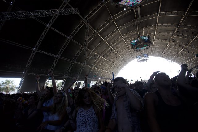 Coachella Music Festival attendees enjoy the energetic crowd