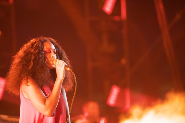 Solange Takes the Stage at FYF Fest
