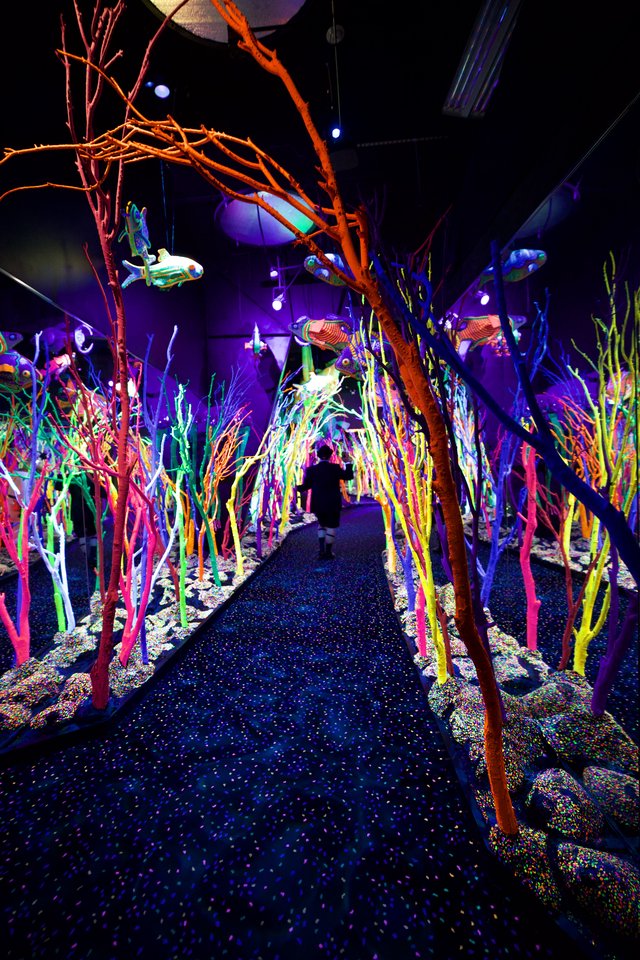 Neon Coral Forest Installation with Suspended Fish Sculptures